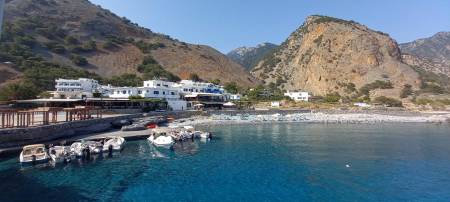 Zorbas Studios14