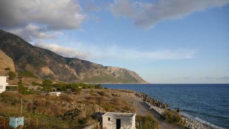 Zorbas Studios17